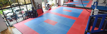 Martial Arts Classes Castle Hill