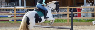 Inadown Farm Riding Stables