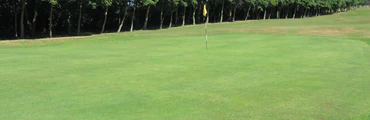 Birtley (Portobello) Golf Club Home Fixtures Results