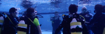 Swimming Pool Scuba Taster Beginner Experience