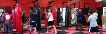 Lionheart Boxing