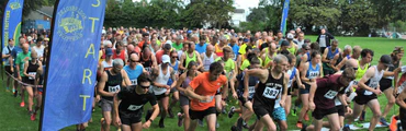 Totnes 10K Race