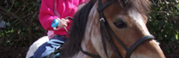 Horse Riding Activities In Northumberland