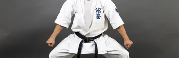 Nelson Dojo