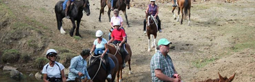 Redcliffs Equestrian & Kate’s Riding Centre
