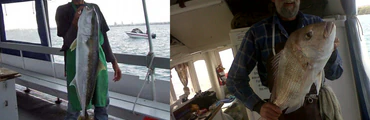 Riverhead Cruises