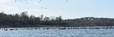 The Mondy Man Fishing Charters