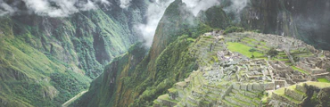 Shamanic Space: Working with Ayahuasca
