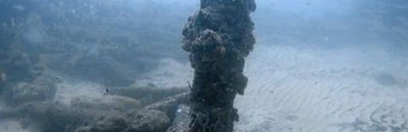 Dive Gold Coast Wreck Dive - The Scottish Prince