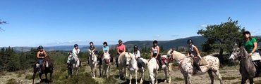 Compétition de TREC à Les Enganes, Fontvieille