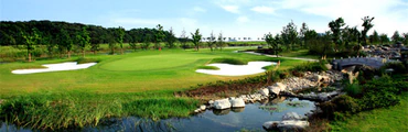 STATUS GOLF