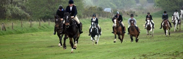 1Hr Group Riding Lesson for Child Beginners
