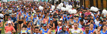 Brisbane Marathon Festival