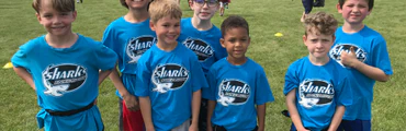 2024 Minis and Junior Sharks - Rugby Season