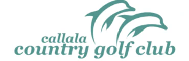 Darts at Club Callala