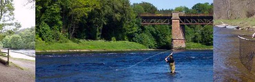 Guided Trout Fishing Trips in Scotland