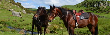 Horse Riding at Stone Hill