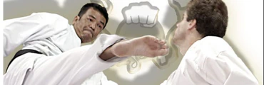 Karate training sessions
