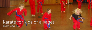 Huddersfield Cobras Freestyle Karate club