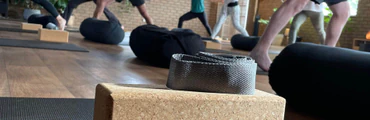 Kids & Tweens Yoga