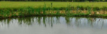 Albrighton Anglers Fishing Club Membership