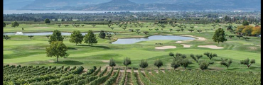 Mother's Day Brunch Golf Event