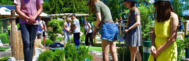 Mini Golf Parties at Putt in the Park