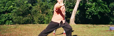 5 Element Qigong Sifu Henri-noel Venturini