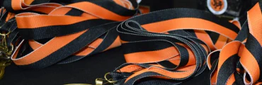 Kamaete Schools of Traditional Shotokan Karate