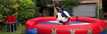 Rodeo Bull Hire in Birmingham