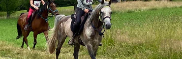 Randonnée endurance jeunes chevaux dans les Vosges