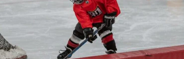 2nd Annual P3 International Hockey Expo