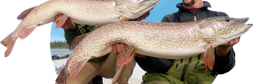 Lac La Martre Fishing Experience