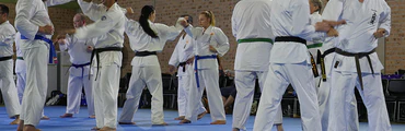 Uechi Ryu Karate Do Australia