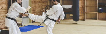 Zen Bujutsu Kai Karate Classes