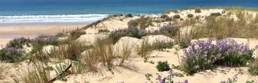 Surfcamp pour adolescents du 7 au 13 juillet 2024