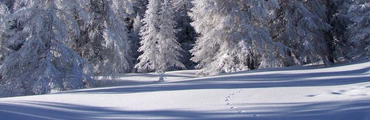 Ski-Resto-Ski pour enfants à Risoul 1850