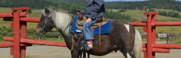Summer Camps at Bar JO Ranch