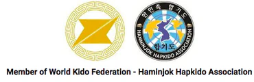 Manawatu Hapkido Palmerston North ADULT CLASSES