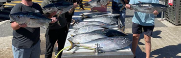 Tuna Fishing Charters Portland