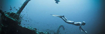 Formation Freediver PADI