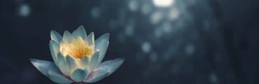Alchemy Yoga Pembrokeshire Body, Mind & Beyond