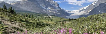 Ice to Water Package Glacier Icewalk White Water Rafting Package