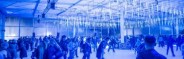 Ice Skate Birmingham