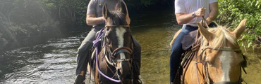 Summer Horse Riding Camps