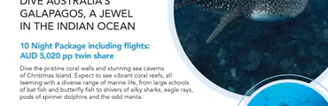 Cook Island Double Boat Dive