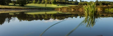 Foyle Golf Driving Range