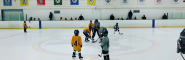 Winter Skating Party