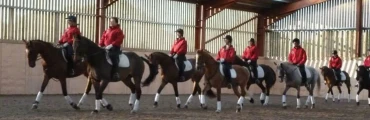 Pony Weeks for Children and Teenagers
