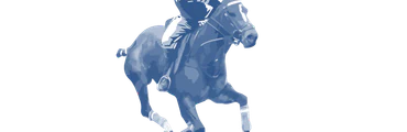 Polo at the Royal Easter Show